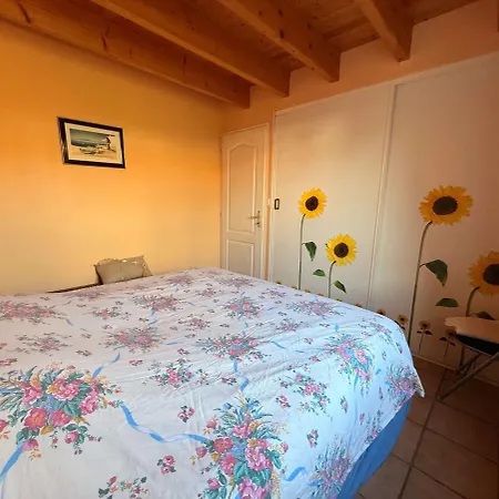 Au Bord De La Piscine Pres De La